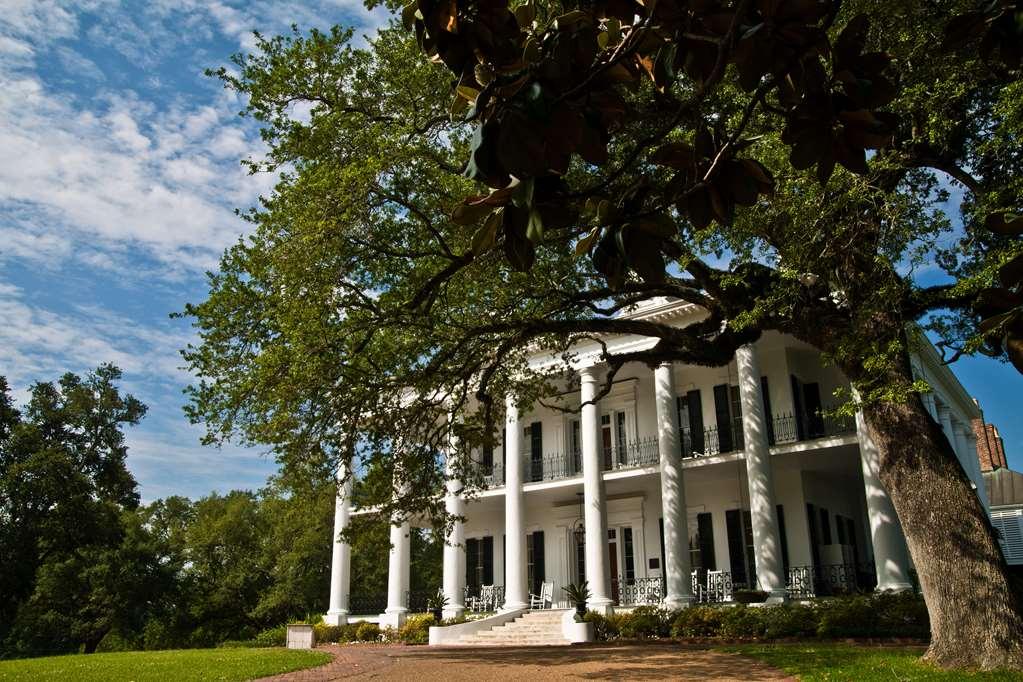 נאטשז Dunleith Historic Inn מראה חיצוני תמונה