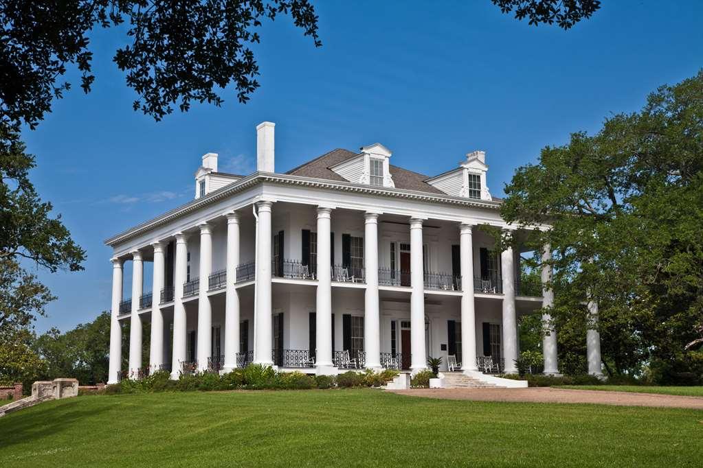 נאטשז Dunleith Historic Inn מראה חיצוני תמונה